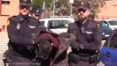 المجرم الإسباني