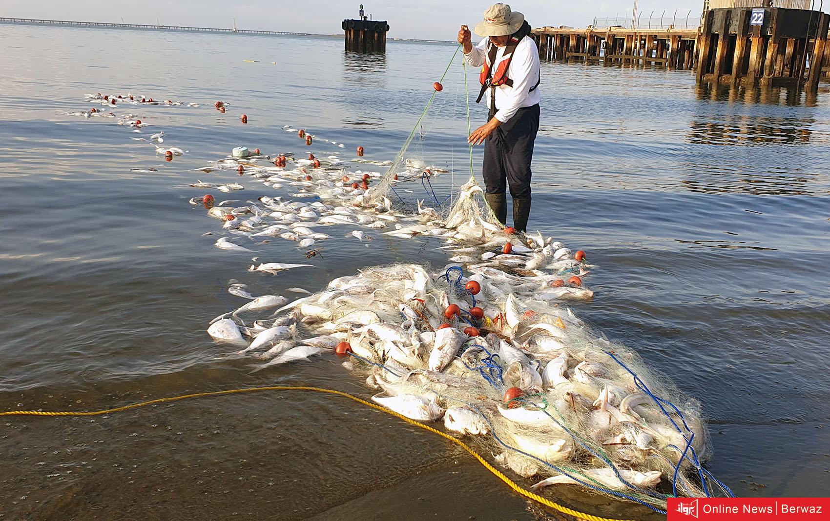 الهيئة العامة للبيئة