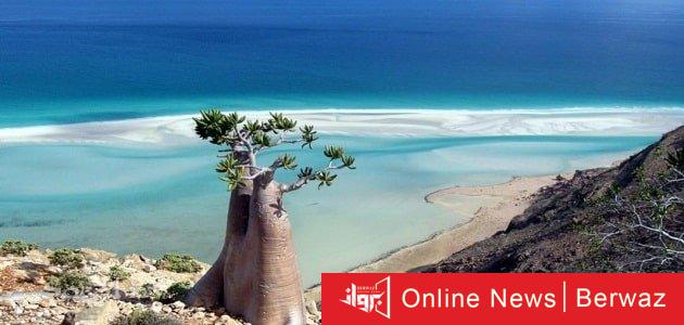 انفصاليون يمنيون يستولون على جزيرة سقطرى