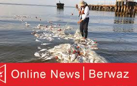 بدء موسم الصيد في الكويت