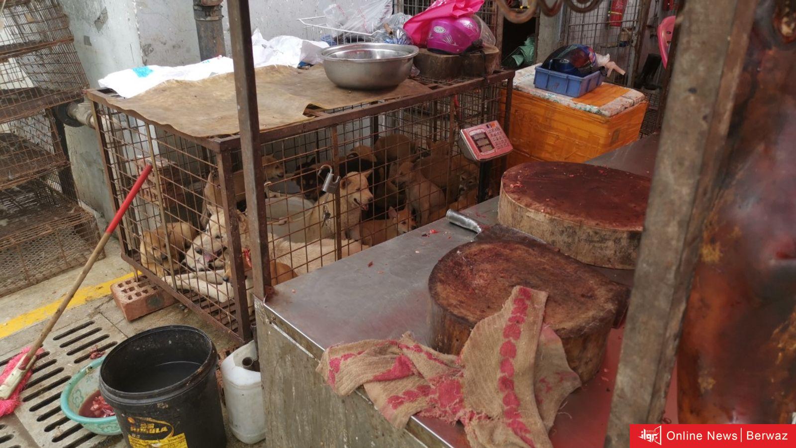 لحم الكلاب معروضًا للبيع في الصين