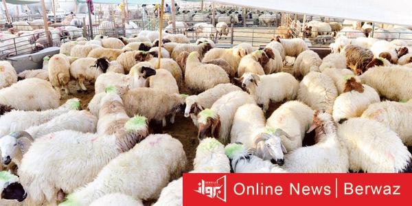 الهيئة العامة للغذاء والتغذية