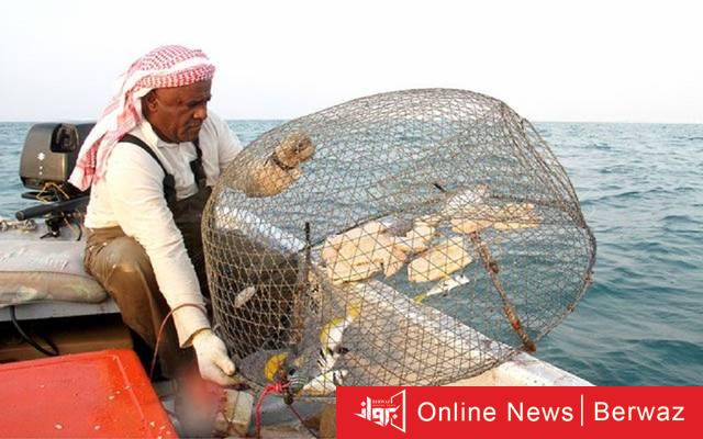 صيد الروبيان