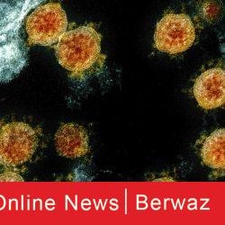 خطاب رسمي من الصحة للخدمة المدنية لتصنيف كل موظفيها المشاركين في مواجهة كورونا ضمن الفئة الأولى برواز الإلكترونية