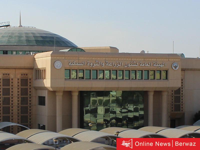 شبرة الرقة للخضار