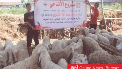 البنك الكويتي للطعام