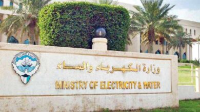 حيازات الهجن