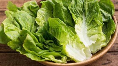 لقاح كورونا