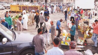 جليب الشيوخ