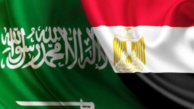 مصر والسعودية توقعان عقود ترسية مشروع الربط الكهربائي