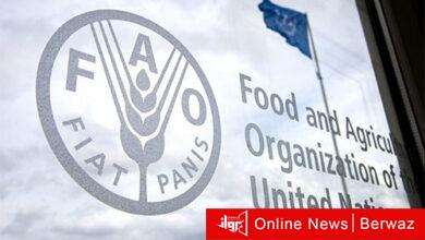منظمة فاو