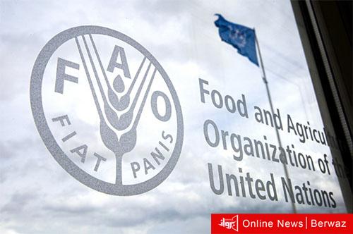 منظمة فاو