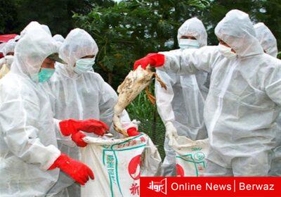 إنفلونزا الطيور