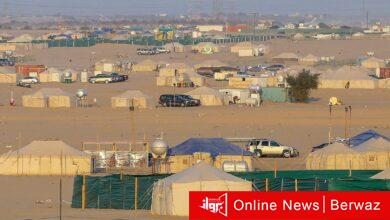 رسوم المخيمات الربيعية