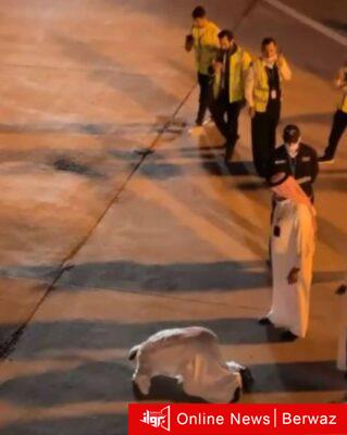 فيصل المسلم