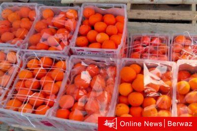 الحبوب المخدرة مخبأة داخل البرتقال