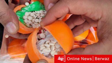 الحبوب المخدرة مخبأة داخل البرتقال