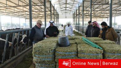 جولة الشيخ محمد يوسف الصباح فى المحجر البيطرى