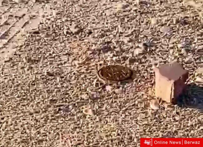 اللغم المبلغ عنه بمنطقة الصبية