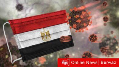 كورونا فى مصر