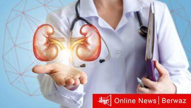 أمراض وزراعة الكلى