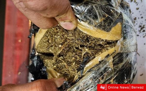 الماريجوانا الإفريقية التي تم ضبطها