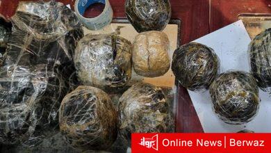 الماريجوانا الإفريقية التي تم ضبطها