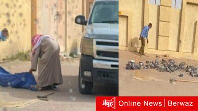 شخص يقوم بصيد الحمام