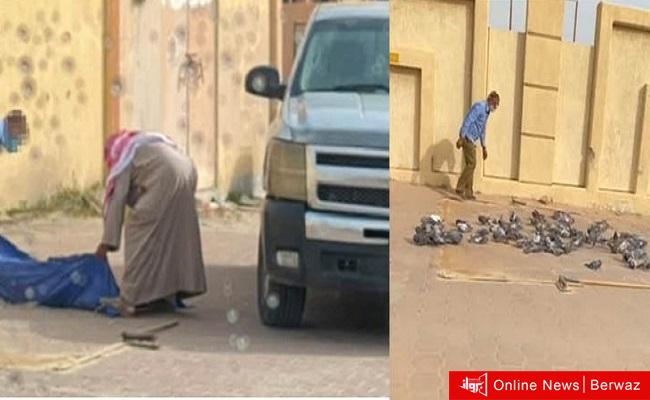 شخص يقوم بصيد الحمام