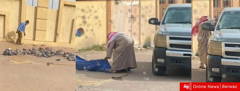 شخص يقوم بصيد الحمام