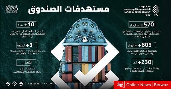 مستهدفات صندوق التنمية الوطني السعودي