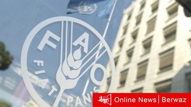 منظمة الأغذية والزراعة للأمم المتحدة