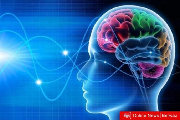 موجات الدماغ