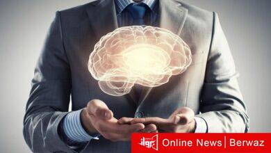 موجات الدماغ