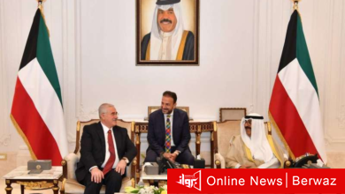 نائب أمير البلاد