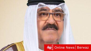 نائب الأمير