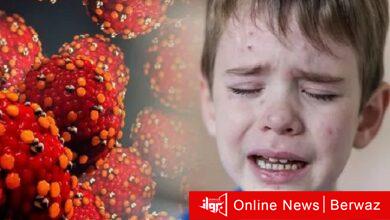 إنلفولنزا الطماطم