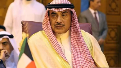 الحكومة الجديدة