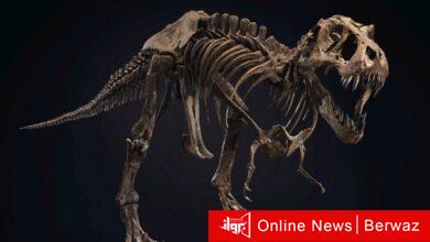 ديناصور دينونيشاس