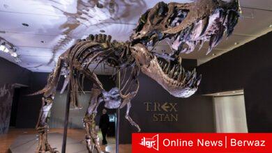 ديناصور دينونيشاس