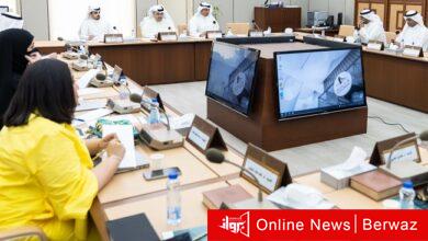 لجنة شؤون البيئة