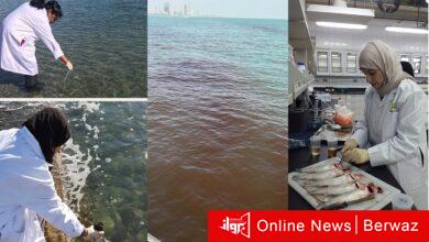 مسح لمنطقة الجون