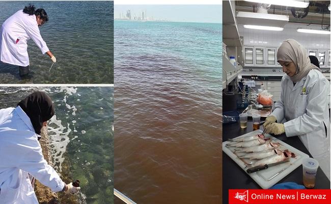 مسح لمنطقة الجون