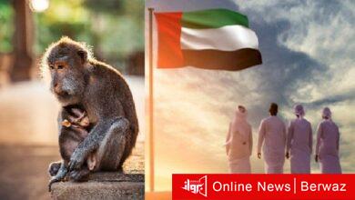 الإمارات تعلن تسجيل 5 حالات جديدة لجدري القرود