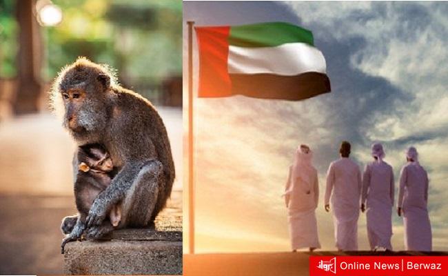 الإمارات تعلن تسجيل 5 حالات جديدة لجدري القرود