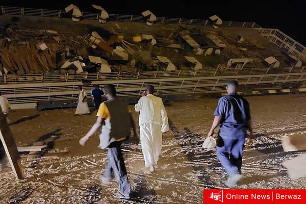 غرق سفينة محملة بـ 16 ألف رأس ماشية