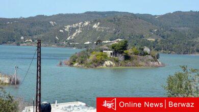 جزيرة أمريكية