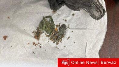 الماريجوانا