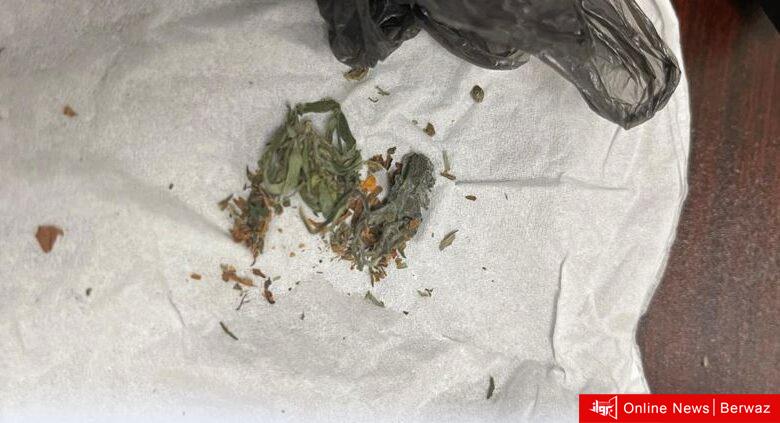 الماريجوانا