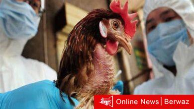 الولايات المتحدة